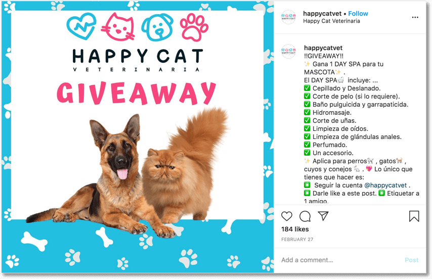 pet food giveaway