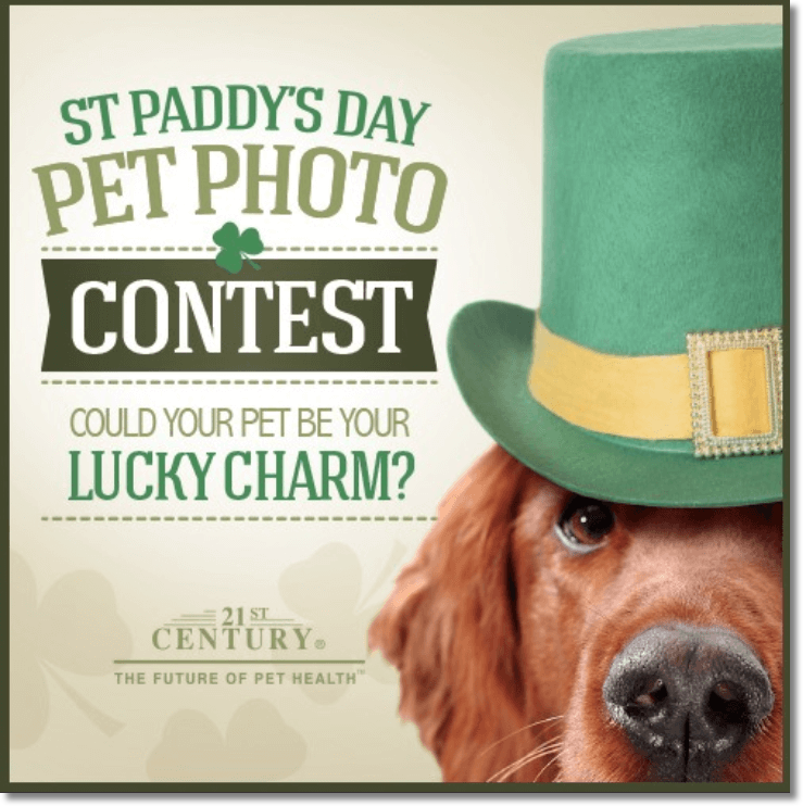 st patricks day contest