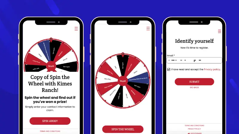 Spin the Wheel loyalty-building promotion