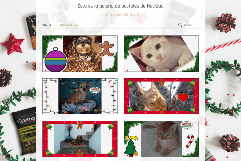 concurso fotos animales Navidad postales digitales