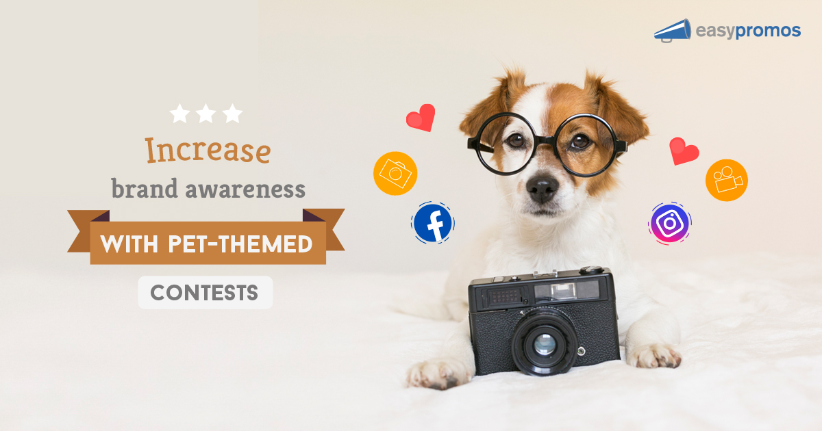 Online Pet Contest Ideas That Increase Brand Awareness